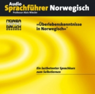 Audio Norea Audio-Sprachführer Norwegisch, 1 Audio-CD Alois Wiesler