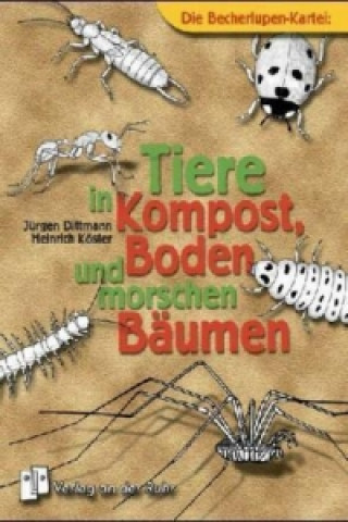 Gra/Zabawka Die Becherlupen-Kartei: Tiere in Kompost, Boden und morschen Bäumen Jürgen Dittmann