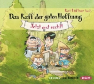 Audio Das Kaff der guten Hoffnung - Jetzt erst recht!, 3 Audio-CD Kai Lüftner