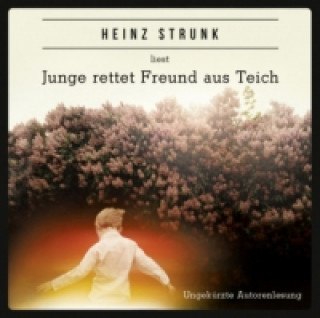 Hanganyagok Junge rettet Freund aus Teich, 4 Audio-CDs Heinz Strunk