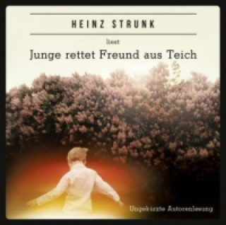 Audio Junge rettet Freund aus Teich, 4 Audio-CDs Heinz Strunk