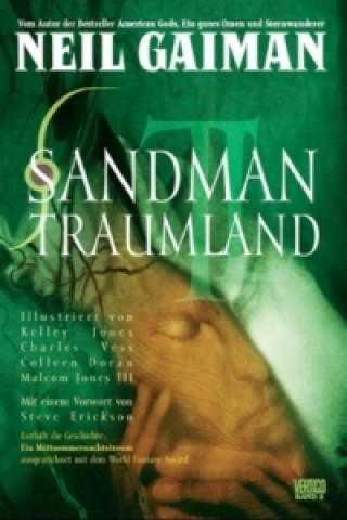 Książka Sandman - Der Comic zur Netflix-Serie Neil Gaiman