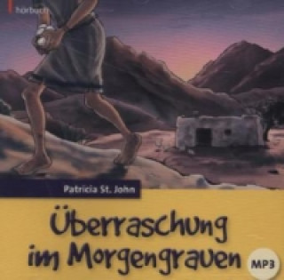 Аудио Überraschung im Morgengrauen, 1 MP3-CD Patricia St. John