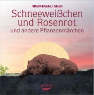 Audio Schneeweißchen und Rosenrot, 1 Audio-CD Wolf-Dieter Storl