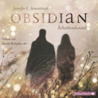 Audio Obsidian 1: Obsidian, 5 Audio-CD Jennifer L. Armentrout