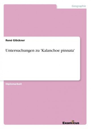 Kniha Untersuchungen zu 'Kalanchoe pinnata' Rene Glockner