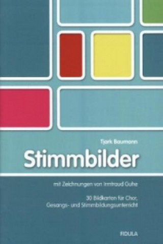 Hra/Hračka Stimmbilder, 30 Bildkartons m. Begleitbuch Tjark Baumann