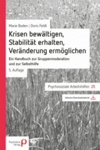 Kniha Krisen bewältigen, Stabilität erhalten, Veränderung ermöglichen Marie Boden