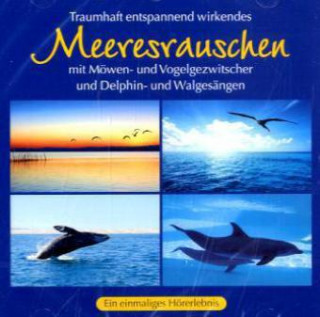 Audio Traumhaft entspannend wirkendes Meeresrauschen, 1 Audio-CD 