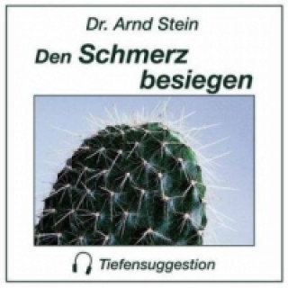 Audio Den Schmerz besiegen, 1 CD-Audio Arnd Stein