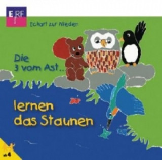 Hanganyagok Die 3 vom Ast lernen das Staunen - Folge 17, Audio-CD Eckart Zur Nieden