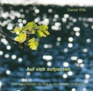 Audio Auf sich aufpassen, Audio-CD Daniel Wilk