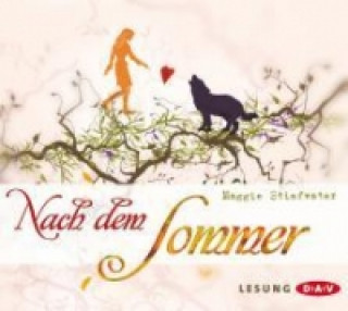 Audio Nach dem Sommer, 6 Audio-CDs Maggie Stiefvater