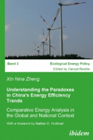 Kniha Understanding the Paradoxes in China's Energy Efficiency Trends Danyel Reiche