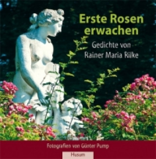 Kniha Erste Rosen erwachen Rainer Maria Rilke