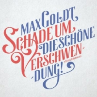 Audio Schade um die schöne Verschwendung!, 2 Audio-CD Max Goldt
