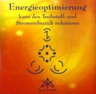Kniha Energieoptimierung, m. Karten Werner Neuner