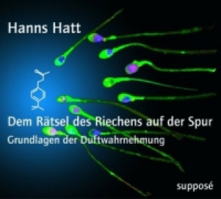 Audio Dem Rätsel des Riechens auf der Spur, 2 Audio-CDs Hanns Hatt