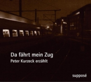 Audio Da fährt mein Zug, 1 Audio-CD Peter Kurzeck