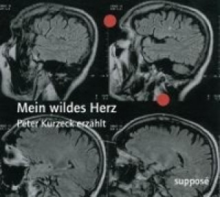 Аудио Mein wildes Herz, 2 Audio-CDs Peter Kurzeck