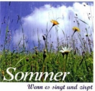 Audio Sommer, 1 Audio-CD Karl-Heinz Dingler