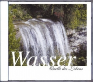 Audio Wasser - Quelle des Lebens, 1 Audio-CD Karl-Heinz Dingler