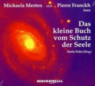 Audio Das kleine Buch vom Schutz der Seele, 2 Audio-CD Martin Fieber
