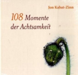 Könyv 108 Momente der Achtsamkeit Jon Kabat-Zinn