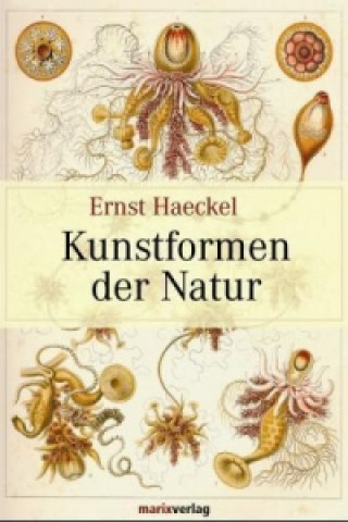 Book Kunstformen der Natur Ernst Haeckel