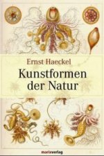 Книга Kunstformen der Natur Ernst Haeckel