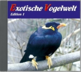 Audio Exotische Vogelwelt. Ed.1, 1 Audio-CD Karl-Heinz Dingler