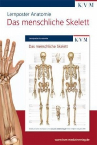 Articles imprimés Das menschliche Skelett, 1 Poster 