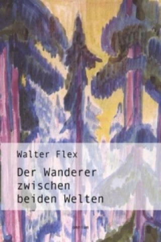 Carte Der Wanderer zwischen beiden Welten Walter Flex