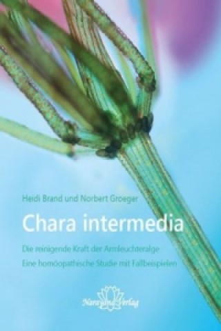 Kniha Chara intermedia Heide Brand