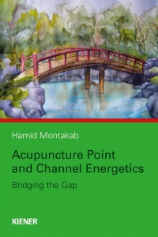 Книга Acupuncture Point and Channel Energetics Hamid Montakab