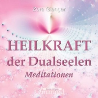 Audio Heilkraft der Dualseelen, 1 Audio-CD, 1 Audio-CD Zora Gienger