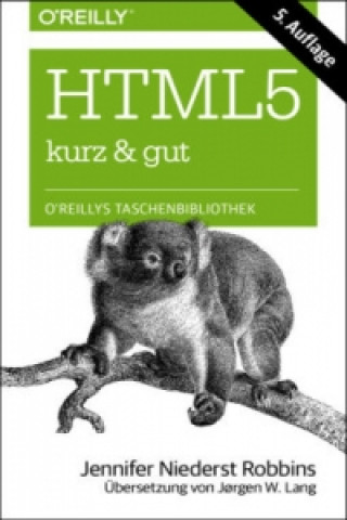 Kniha HTML5 - kurz & gut Jennifer Niederst Robbins