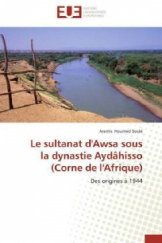 Buch Le sultanat d'Awsa sous la dynastie Aydâhisso (Corne de l'Afrique) Aramis Houmed Soulé