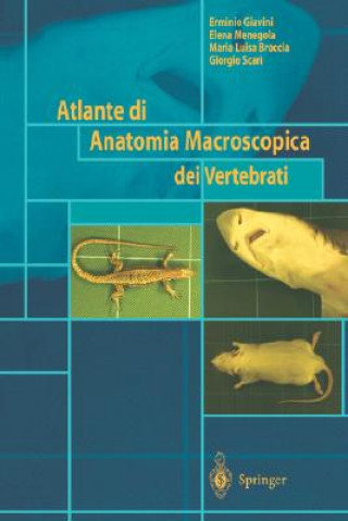 Buch Atlante di Anatomia Macroscopica dei Vertebrati E. Giavini