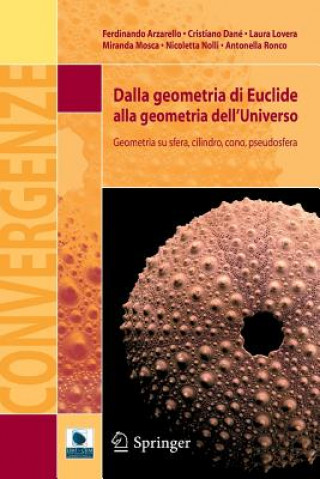 Kniha Dalla Geometria Di Euclide Alla Geometria Dell'universo Ferdinando Arzarello