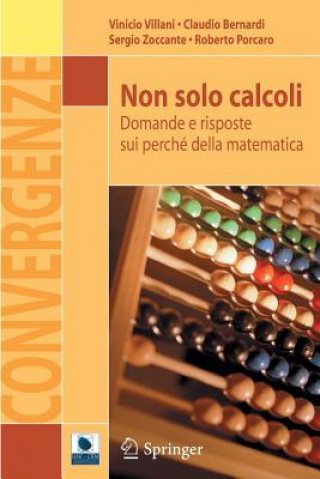 Kniha Non solo calcoli Claudio Bernardi