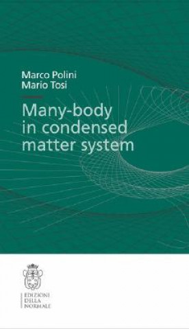 Kniha Many-body physics in condensed matter systems Marco Polini