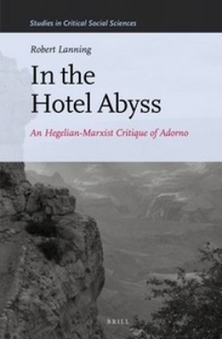 Könyv In the Hotel Abyss Robert D. Lanning