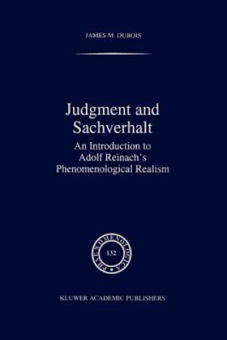 Kniha Judgment and Sachverhalt James M. DuBois