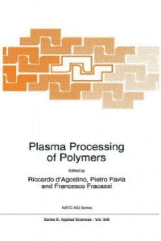 Kniha Plasma Processing of Polymers Ricardo D'Agostino