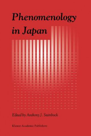 Könyv Phenomenology in Japan A. J. Steinbock