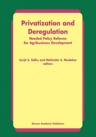 Könyv Privatization and Deregulation Mohinder S. Mudahar