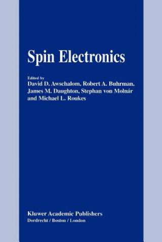 Książka Spin Electronics David D. Awschalom