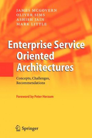 Kniha Enterprise Service Oriented Architectures James McGovern