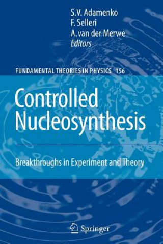 Kniha Controlled Nucleosynthesis Stanislav Adamenko